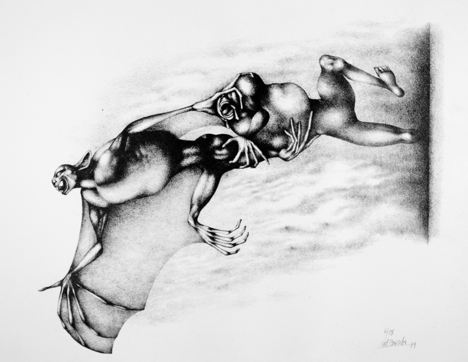 metamorfosilito74